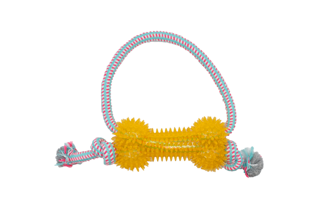 Bright Tug 'n' Chew Rope Dog Toy