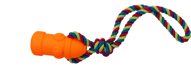 HydroHound Rainbow Rope Toy