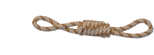 Triple Knot Strength Rope Toy