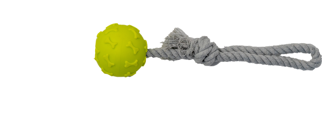 Fetch'n Rope Ball