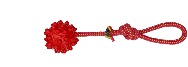 Tactile Tug Ball with Rope