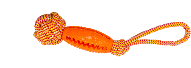 Treat Twister Tug Toy